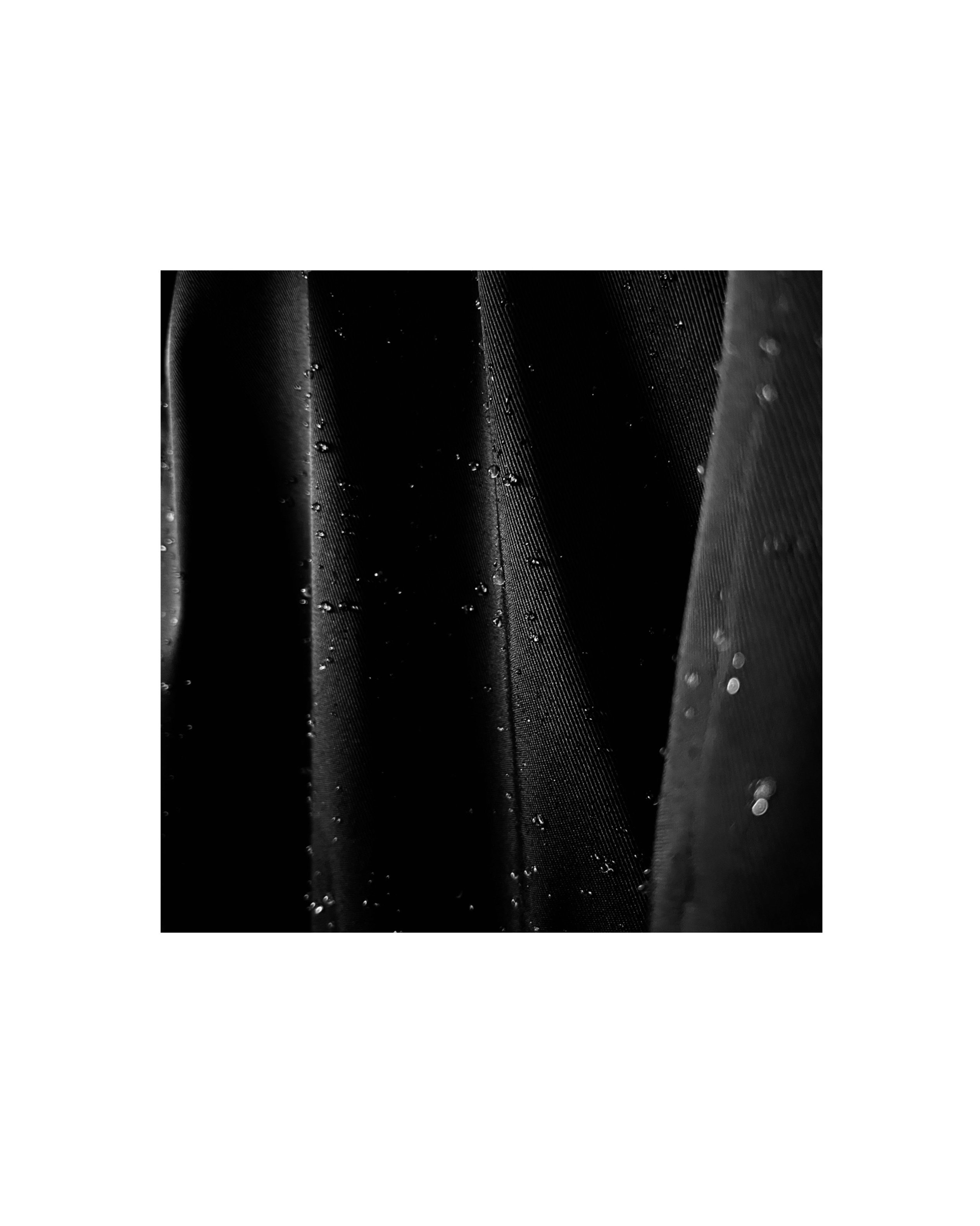 Index Jacket - Black